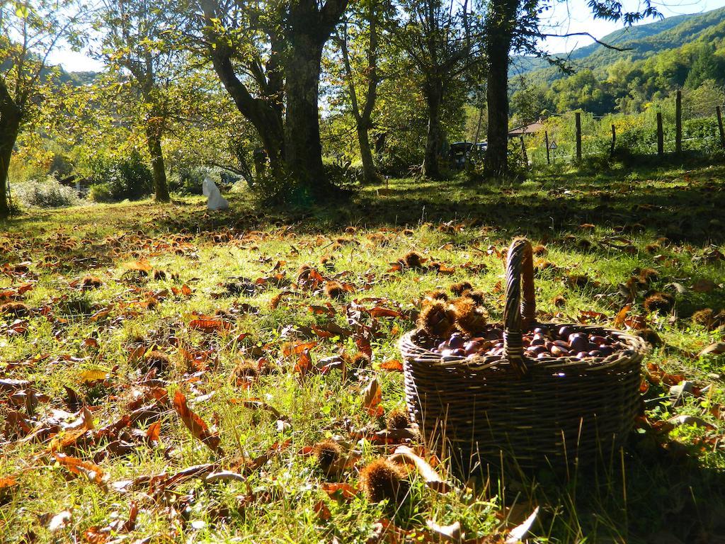 Agriturismo Casa Turchetti Comano  Bagian luar foto
